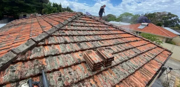 Roof tiles heavily covered in lichen and moss before cleaning